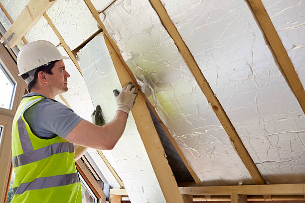 Best Insulation Installation Services in Byrnes Mill, MO